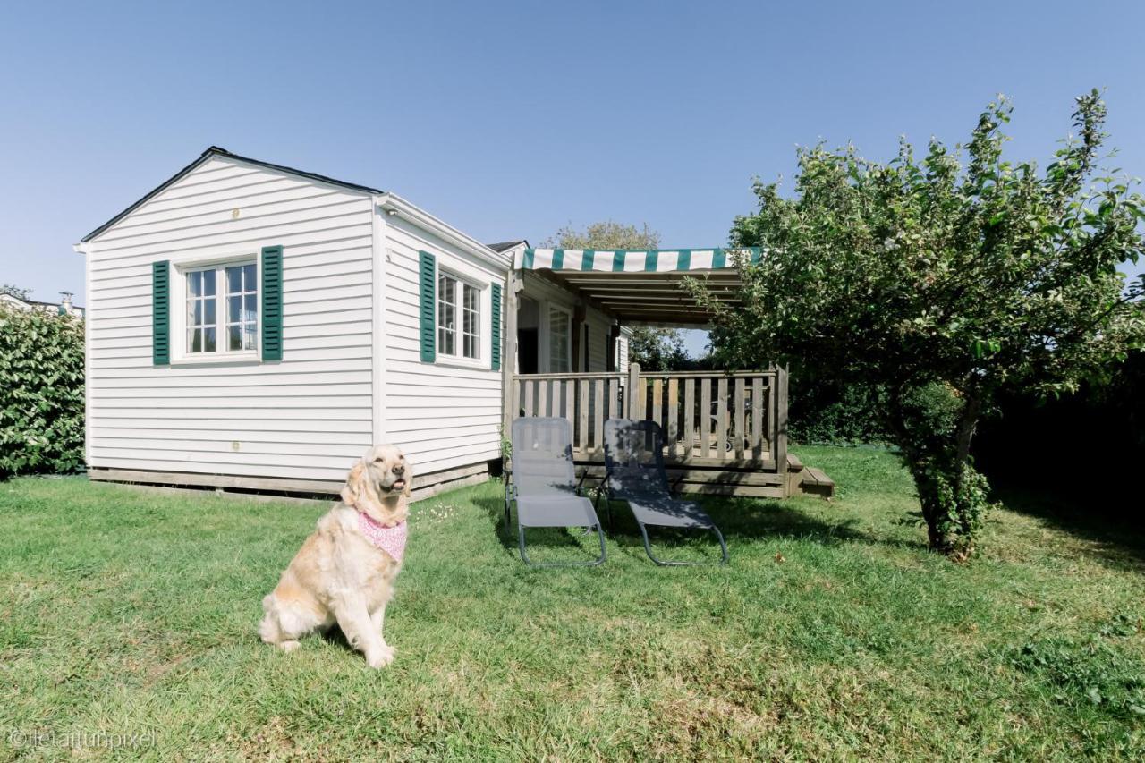 Le Cottage De Lyxie-Nature Et Sports Talmont-Saint-Hilaire Exteriér fotografie